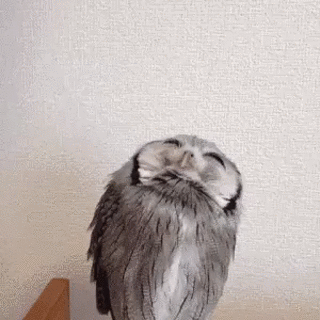 BBlQHeW